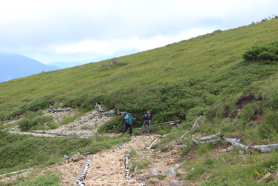 キンコウカ群落の登山道を登っている写真