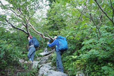 Iさんが撮影した三俣蓮華岳に向けて樹林帯を上っている写真