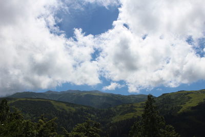 夏雲のわく薬師岳の写真