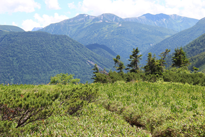 太郎平から見た三俣蓮華岳、双六岳の写真