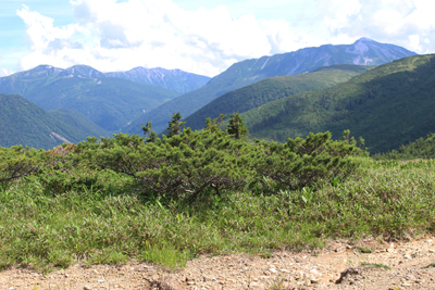 太郎平から見た黒部五郎岳と三俣蓮華岳方面の写真