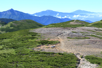 北ノ俣岳から見た笠ヶ岳、乗鞍岳、御嶽山の写真