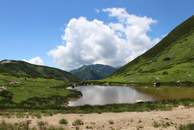 双六池と夏雲のわく笠ヶ岳方面の写真