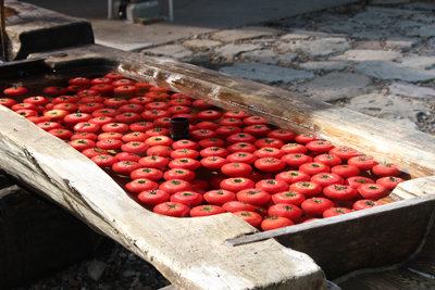 真っ赤なトマトがたくさん浮かんだわさび平山荘前の木のケースの写真