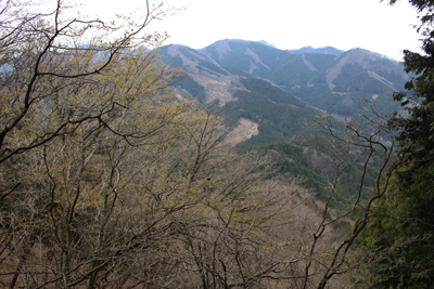 武川岳の写真