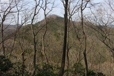 木々の向こうに見える伊豆ヶ岳の写真