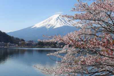 走るバスの中から撮った河口湖と桜と富士山の写真
