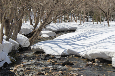 たくさん積もった雪原の中を流れる川の写真