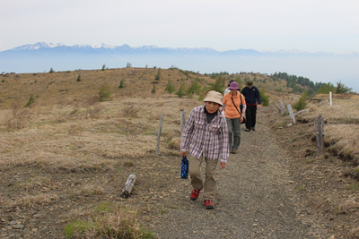 北アルプスを背に鉢伏山への登山道を歩いている写真