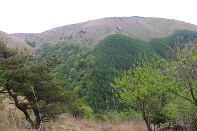 鉢伏山の写真