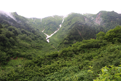 蓮華岳方面を見上げた写真