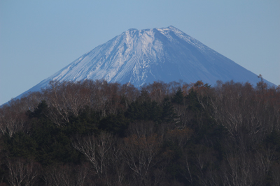 裸山から見た富士山の写真