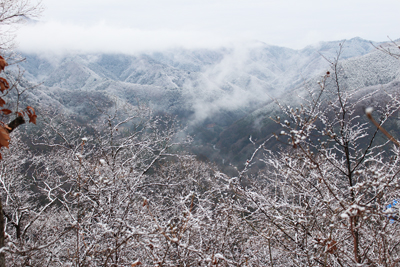 鷹取山山頂～見た雪景色の生藤山、陣馬山方面の写真