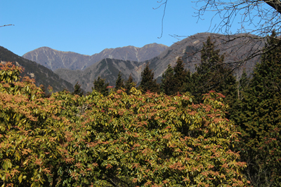 山頂から見た天山峠、鍋割山、蛭ヶ岳方面の写真