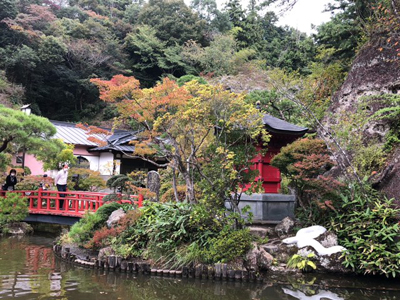 大谷寺内の庭園の写真