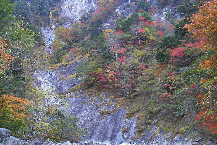 西のナメ沢と紅葉の写真
