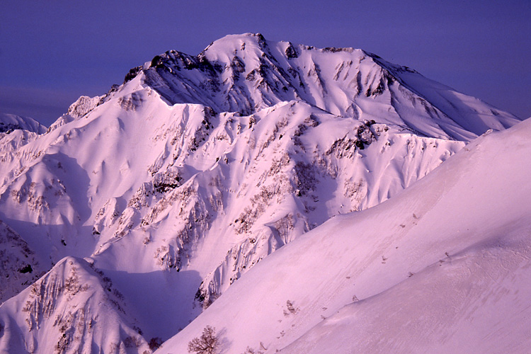八方尾根から見た朝日に染まる五竜岳の写真