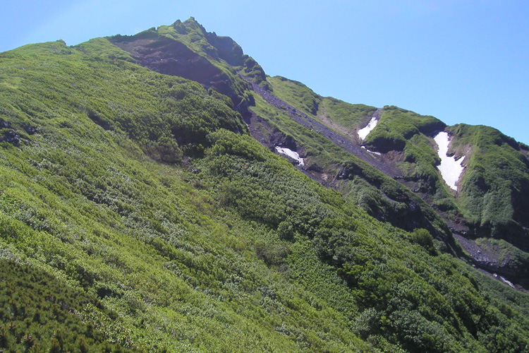 長官山の上部から見た利尻山の写真