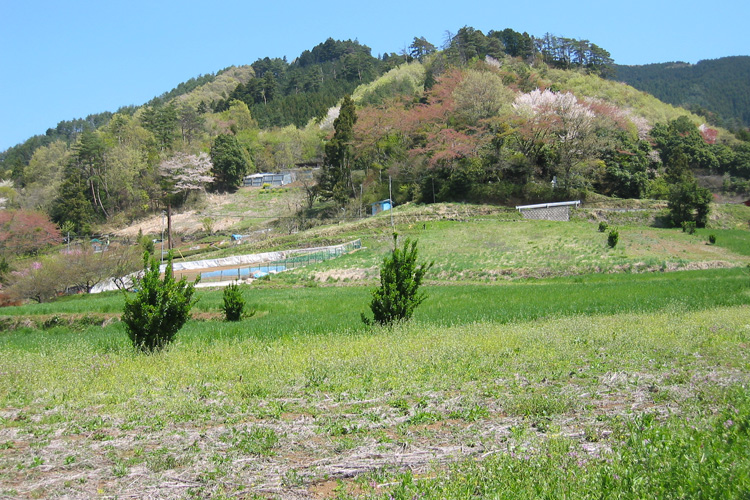 生藤山石楯尾神社付近の写真