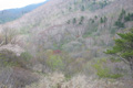 春まだ浅い湯ノ沢峠の山腹の写真