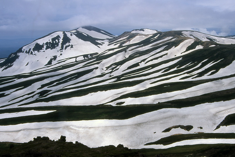 白雲岳から見た旭岳の写真