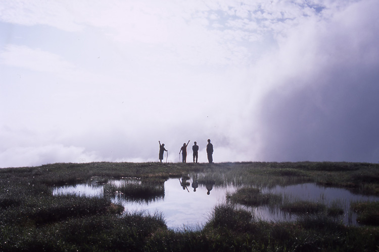 中門岳の湿原に立っているメンバーの写真