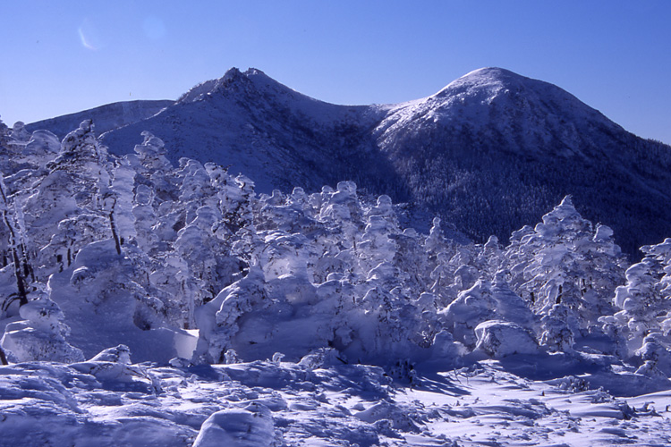中山付近から見た冬の天狗岳の写真