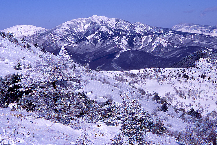 湯ノ丸山から見た四阿山の写真