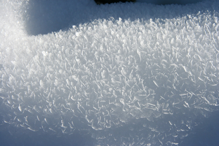 雪の上にできた繊細な無数の雪の結晶の写真