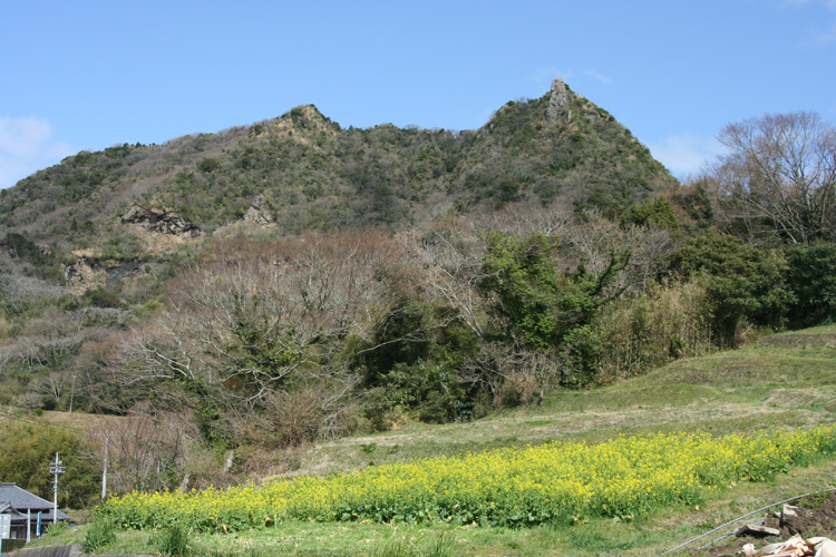 伊予ヶ岳と菜の花畑の写真