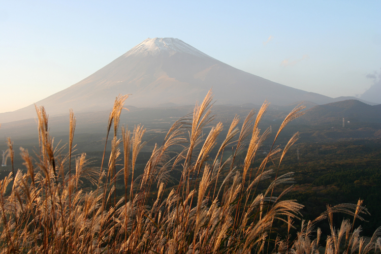 越前岳から見た秋の富士山とススキの写真