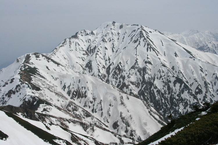 唐松岳から見た五竜岳の写真