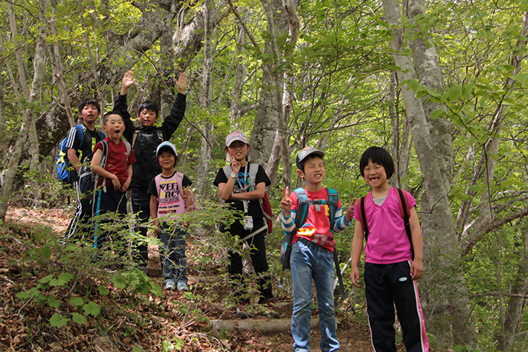 三頭山での子どもたち（自然と親しむ子ども山登り教室）の写真