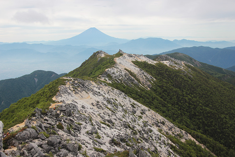 観音岳側から見た薬師岳と富士山の写真
