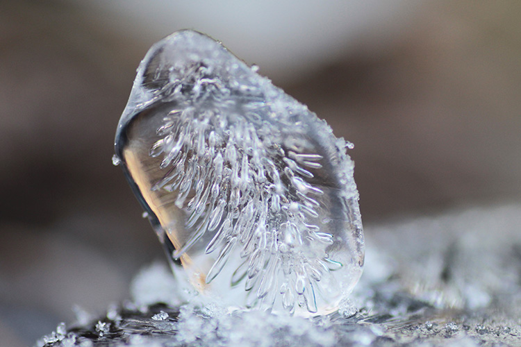 大野山で撮影した中に模様のある氷の写真