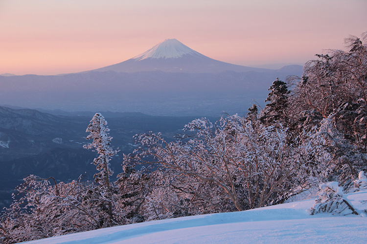 三ツ頭から見た朝の富士山の写真