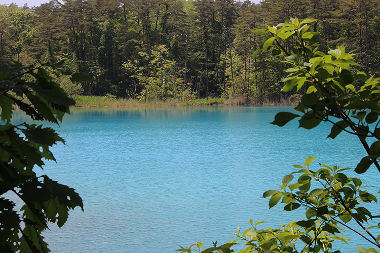 湖の色が素晴らしい弁天沼の写真