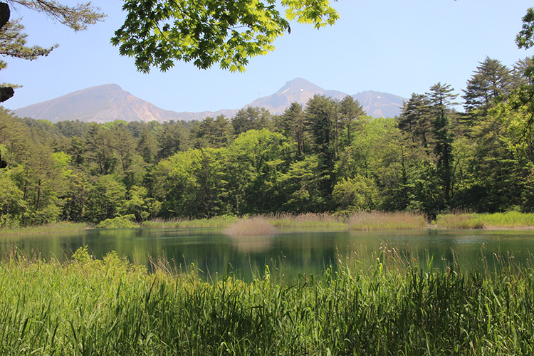 瑠璃沼と磐梯山の写真
