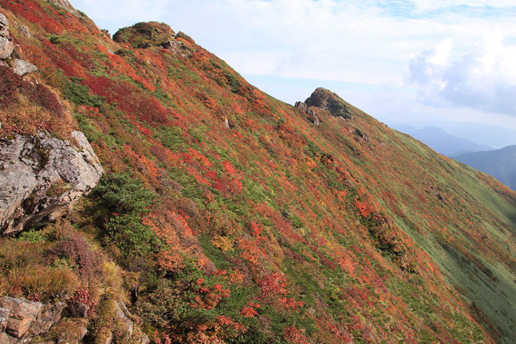 谷川岳新潟側斜面の紅葉の写真