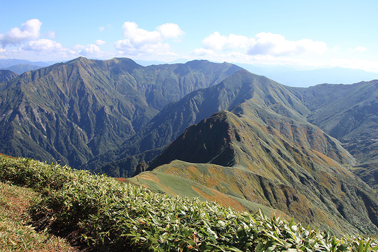 万太郎山から見た谷川岳方面の写真