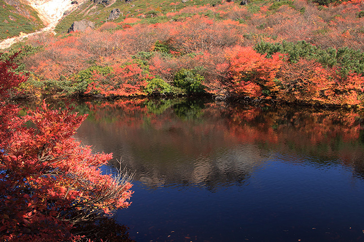 那須岳姥が平の瓢箪池の写真