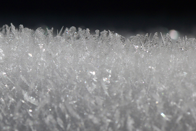 積雪の上に無数にできた氷の結晶の写真