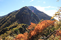 兎岳への登りから見た聖岳と紅葉したナナカマドの写真にリンク