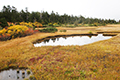 黒谷地湿原の草紅葉と池塘の写真にリンク