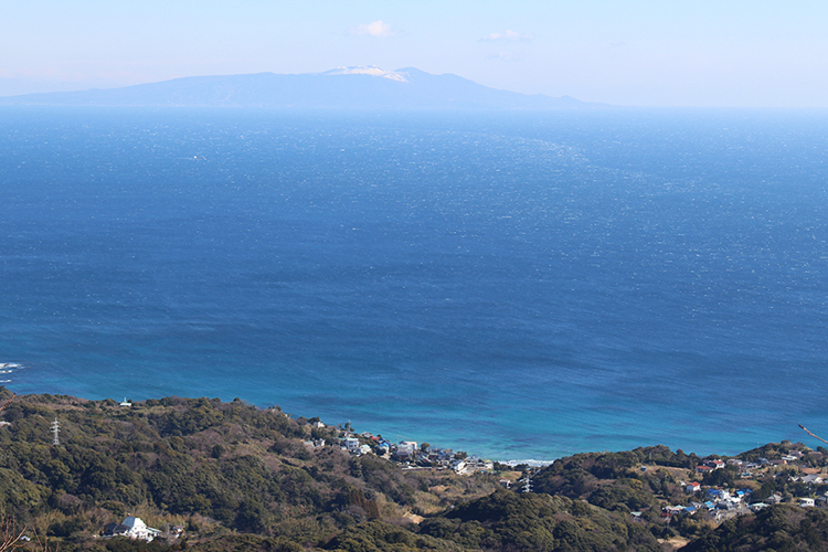 高根山からの大島と真っ青な相模灘の写真