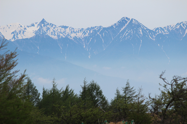 高ボッチから見た槍ヶ岳と常念岳の写真