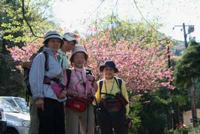 八重桜の前に立った女性陣の写真