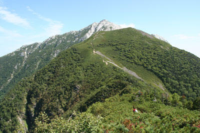 双児山から見た甲斐駒ヶ岳と駒津峰の写真