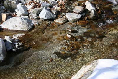 大滝沢の澄んだ水の流れの写真