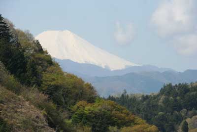 真っ白な富士山の写真